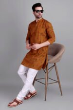 Dor Handloom Ikkat Kurta - Image 8